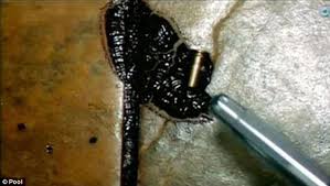 The kurt warner of whatever this is (currently in my grocery bagging stage). Jodi Arias Trial Pictures Of Grisly Crime Scene Where Travis Alexander Was Killed Daily Mail Online