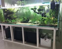 custom tropical fish goodsの画像