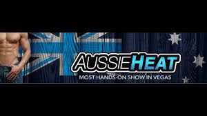 Travel Vegas Special Offers From V Theater Group Aussie