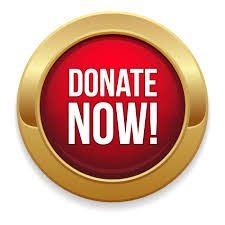 Donate Now Botón Dorado y Rojo PNG transparente - StickPNG