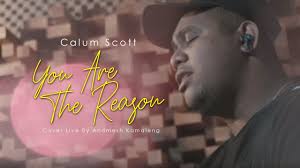 That you are the reason. Lirik Lagu You Are The Reason Calum Scott Cover Oleh Andmesh Kamaleng Cari Lirik Lagu Di Wowkeren Com