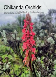 Image result for Moraea carsonii