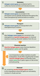 20 Questions And Answers Ozone Secretariat