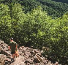 Looking for a great trail near state college, pennsylvania? En5ann5vqt Xwm