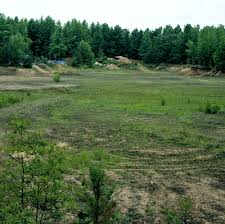 I go over the cactus hill site in virginia. Cactus Hill Clio