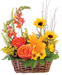 Upper marlboro, md · silver spring, md · hughesville, md · cheltenham, md. Ellicott City Florist Ellicott City Md Flower Shop Agape Flowers Gifts
