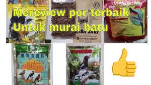 Check spelling or type a new query. Mengulas 3 Merk Voer Protein Tinggi Untuk Murai Batu Youtube