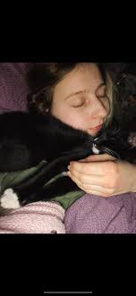 Has anyone seen this young cat?. He's only a year old and he and his  brothers and sister were born in my house with me by their side. He has  beautiful silky