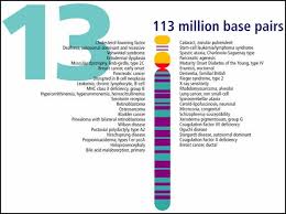 Pin On Dna