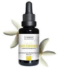 Image result for Leptactina