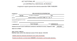 7/25/2019 model act aditional (1). Software Erp Act Aditional Contract De Munca Informatii Suplimentare Subsol Raport