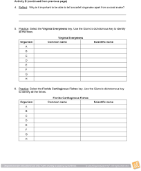 The paper student exploration energy conversions gizmo answer key. Student Exploration Food Chain Answer Key Pdf Food Chain Gizmo Answer Key Pdf 2020 01 29