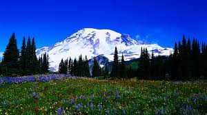 48 Free Late Winter Desktop Wallpaper On Wallpapersafari Mountain nature hd wallpapers top beautiful desktop nature images background. 48 free late winter desktop wallpaper
