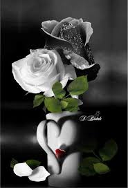 Good Morning Pushpa Ji Flowers Black Background Beautiful Flowers Beautiful Roses