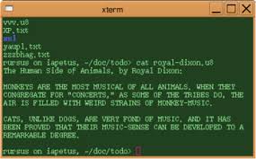 plain text wikipedia