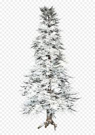 Three green pine trees covered in. Christmas Tree Snow Png Download 853 1280 Free Transparent Spruce Png Download Cleanpng Kisspng