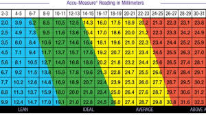 body fat percentage chart calculate for men and women