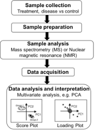 The most important application of animal cell cultures is the production of a wide range of commercial compounds for medical and pharmaceutical use. Metabolomics Wikipedia