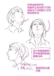 關於動漫臉部的畫法 一些結構和仰視角度 每日頭條 drawing skills sketch book art