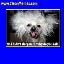 We did not find results for: Dog Memes Clean Memes The Best The Most Online Dog Memes Clean Cat And Dog Memes Dog Memes