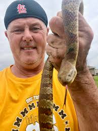 Moyock, NC....my guess is plan-bellied watersnake? Or at least some kind of  watersnake! And is common to run into snakes this time of year? I thought  they mostly come out in the