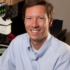 Alexander VAN DER LINDEN