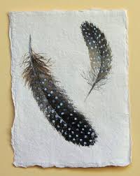 Black And White Spotted Bird Feather Pin By Sharon Findlay On Art Feather Art Feather Painting Watercolor Feather