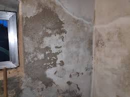 Die problematik kann hierbei plötzlich auftreten und sich rasant verschlimmern. Holz Metall Und Smart Home Gunstige Massnahmen Gegen Feuchte Keller