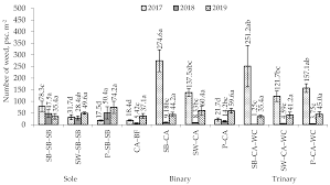 Caraway plants (carum carvi) have a similar appearance to other plants in this family. Agronomy Free Full Text Weed Spread And Caraway Carum Carvi L Crop Productivity In A Multi Cropping System Html