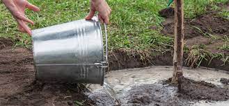 Essentially, any water, other than toilet wastes, draining from a household is greywater. Using Grey Water To Help Plants Survive A Hot Summer