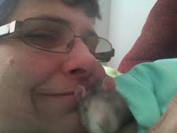 Any advice for a limp houseplant?