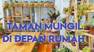 Rumah selebar 7 meter ini tidak mungil, namun memiliki konsep unik yang bisa ditiru oleh pemilik rumah kecil. Taman Mungil Di Depan Rumah Dekorasi Taman Dari Kayu Bekas Youtube