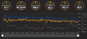 Analysis Of Real World Marathon Power Meter Data From A Top