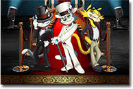Cool Cat Casino Review Best Online Casinos Reviews