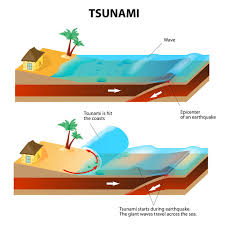 In thailand, a much higher proportion of the tsunami victims were tourists than in other affected nations. Der Tsunami Von 2004 In Thailand Urlaub In Thailand Erleben