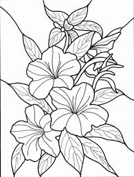 Pin On Coloring Page For Kids