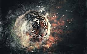 Tiger Wallpaper 3d Hd Resolution Tiger Wallpaper Tiger Art Animal Wallpaper