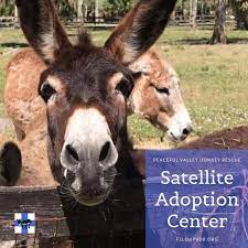 Maybe you would like to learn more about one of these? Delmar Farm Home Facebook