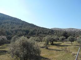 Προγνώσεις καιρού για όλη την ελλάδα. Agrotemaxia 7 485t M Gia Agora Dwrean Aggelies Akinhtwn Plot Gr