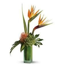 Hours may change under current circumstances Birds Of Beauty In Culver City Ca Sada S Flowers Tropical Flower Arrangements Tropical Floral Arrangements Modern Floral Arrangements