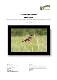 Image result for Tricliceras mossambicense