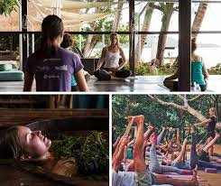 Best Yoga Retreats In Sri Lanka Yoga Retreats Can Be A Life Changing Experience Located In Scenic Resort In 2020 Yoga Retreat Yoga Retreats India Best Yoga Retreats