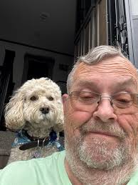 They love going in the truck for a ride.