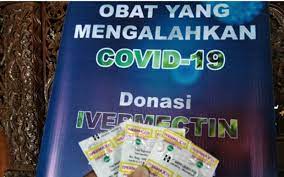 The experiments used high concentrations of ivermectin. Moeldoko Dorong Penggunaan Ivermectin Untuk Penderita Covid 19 Kabar24 Bisnis Com