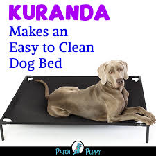 Kuranda Beds For Shelters How To Donate With A Just Few Clicks Dog Wellness Dog Health Dog Bed