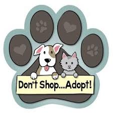 Thank you for adopting your new cat or dog from paws and giving a homeless animal a second chance! Animals Ink Large Paw Car Magnet Don T Shop Adopt Adoption Pet Adoption Animal Advocacy