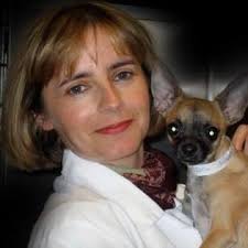 Maybe you would like to learn more about one of these? Animal Eye Care Of New England 14 Sandy Lane Deerfield Reviews And Appointments Topvet