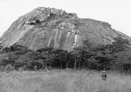 Image result for Aeschynomene pawekiae