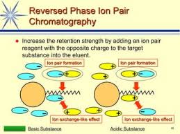 Characterization Of Antisense Oligonucleotide Impurities By Ion-Pairing  Reversed-Phase And Anion Exchange Chromatography Coupled To Hydrophilic  Interaction Liquid Chromatography/Mass Spectrometry Using A Versatile  Two-Dimensional Liquid Chromatography ...