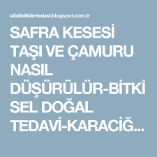 Safra Kesesi Tasi Ve Camuru Nasil Dusurulur Bitkisel Dogal Tedavi Karaciger Temizleme Sifali Bitkiler Otlar Bitkisel Tedavi Ahmet M Dogal Tedaviler Dogal Camur